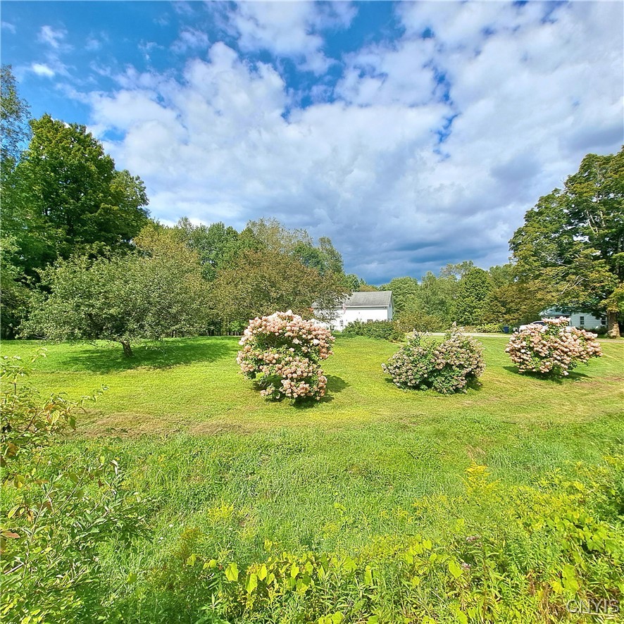 3091 Mcconnellsville Road