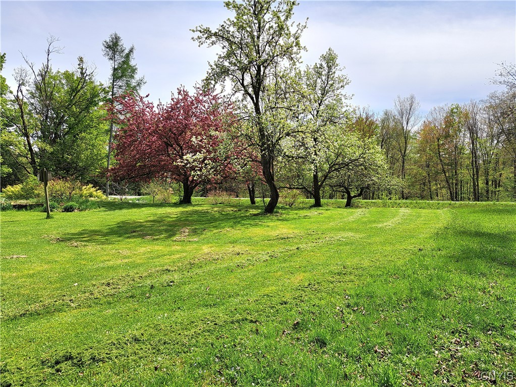 3091 Mcconnellsville Road