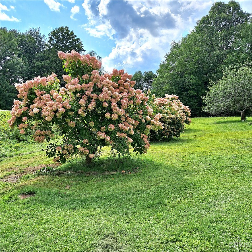 3091 Mcconnellsville Road