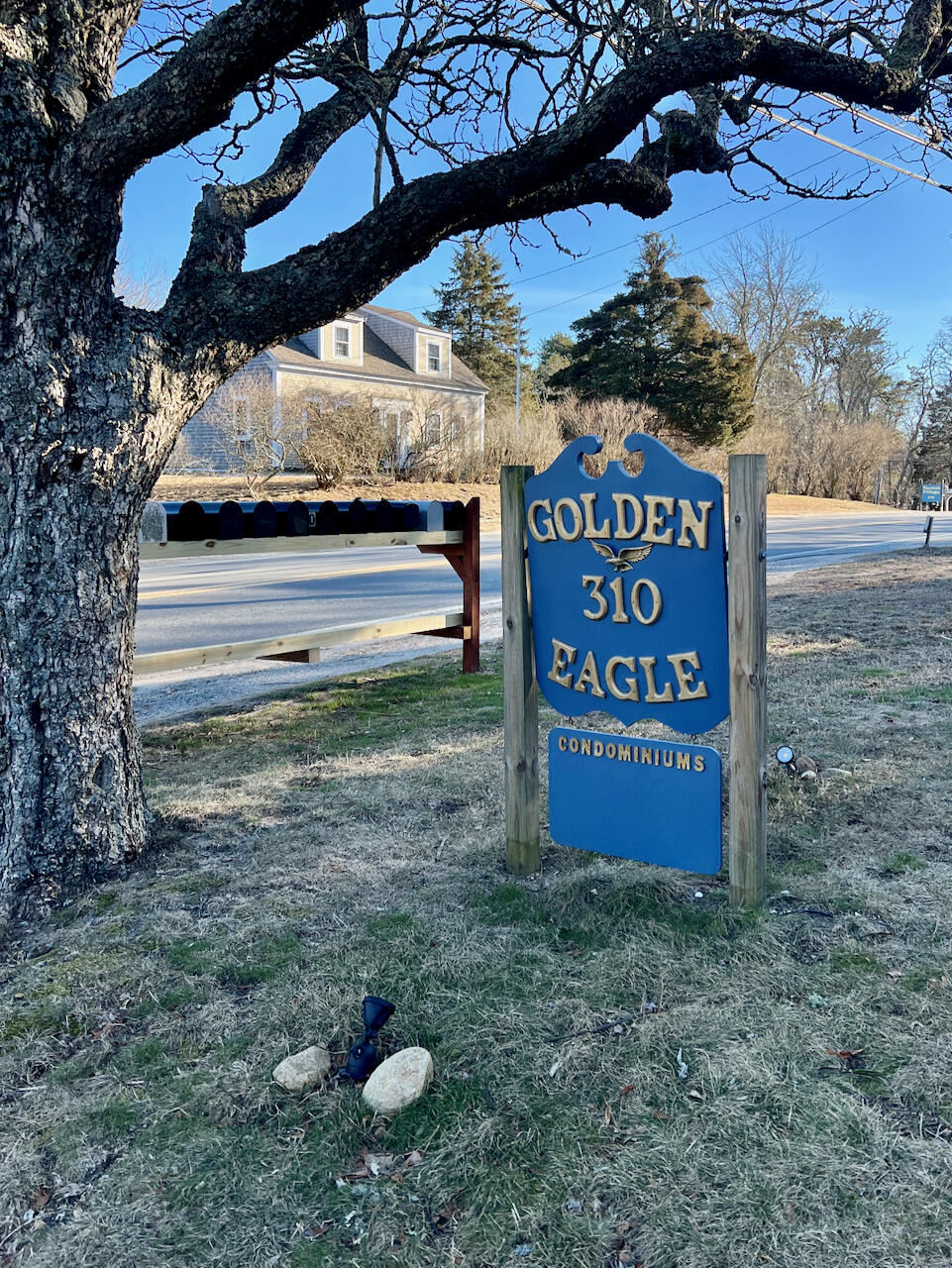 310 S Orleans Road Unit: 2B