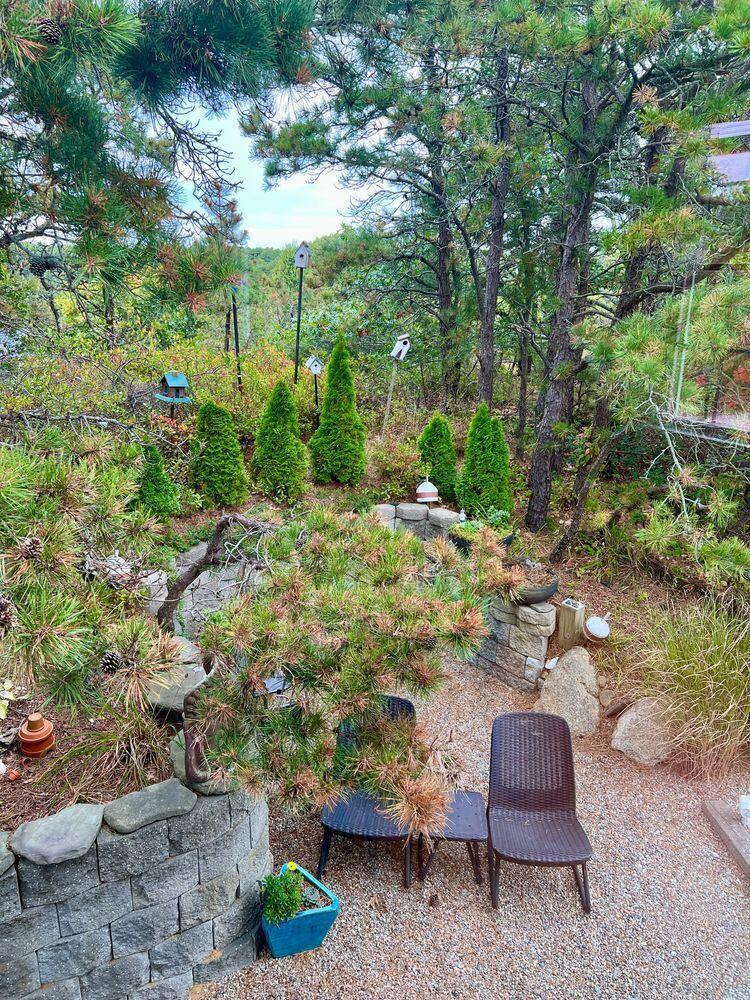6 Professional Heights Road # 1