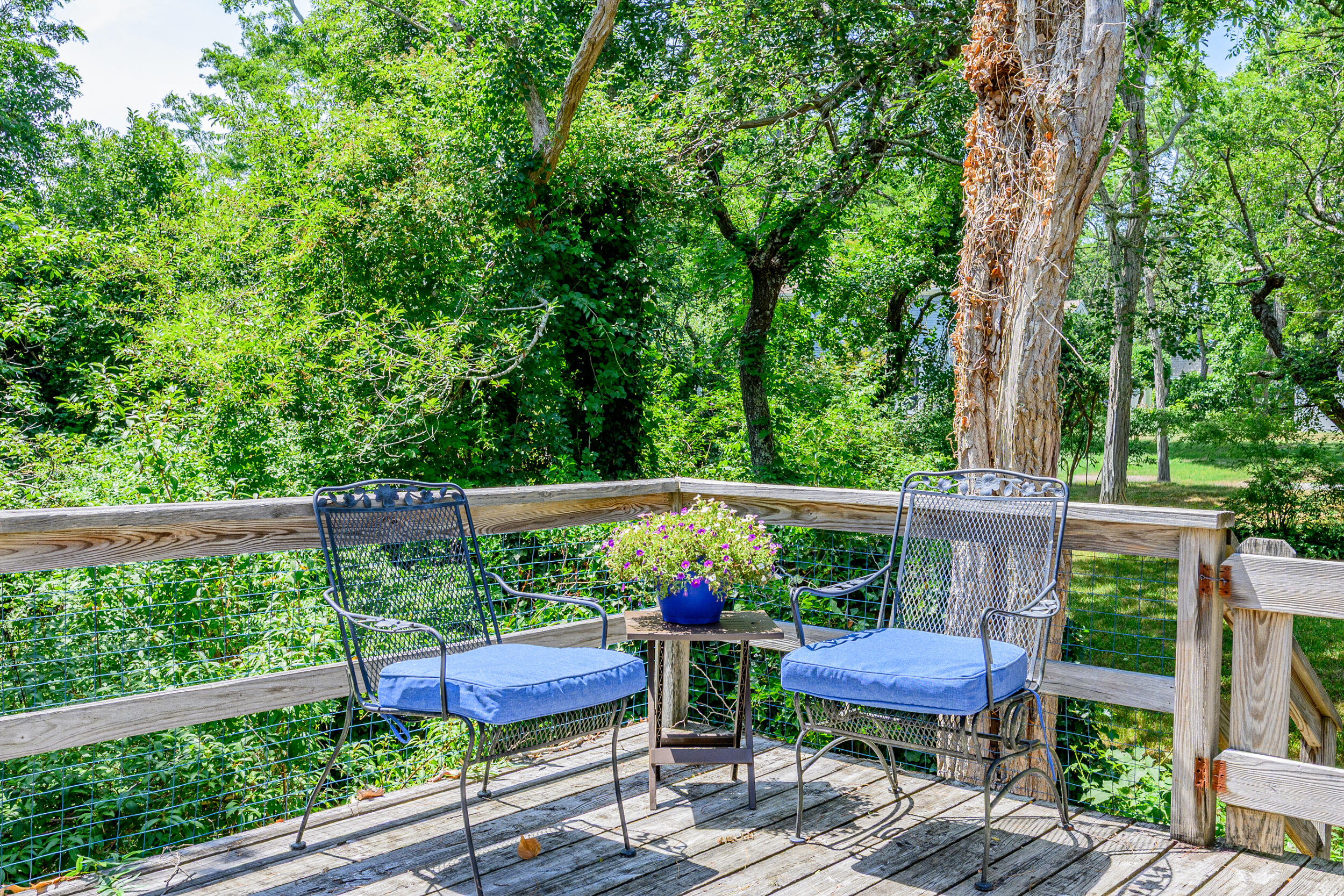 215 Cove View Road