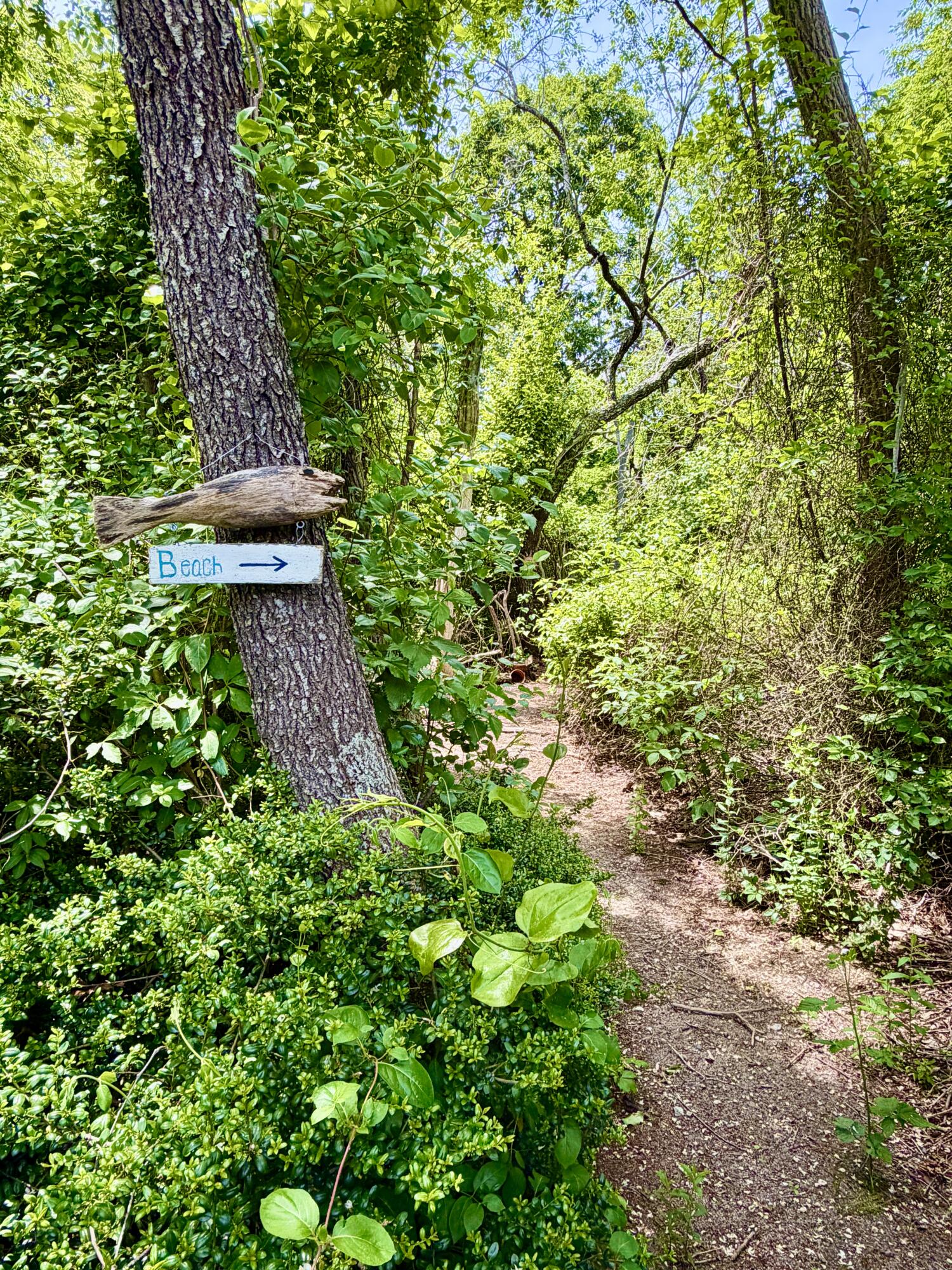 65 Pilgrims Path