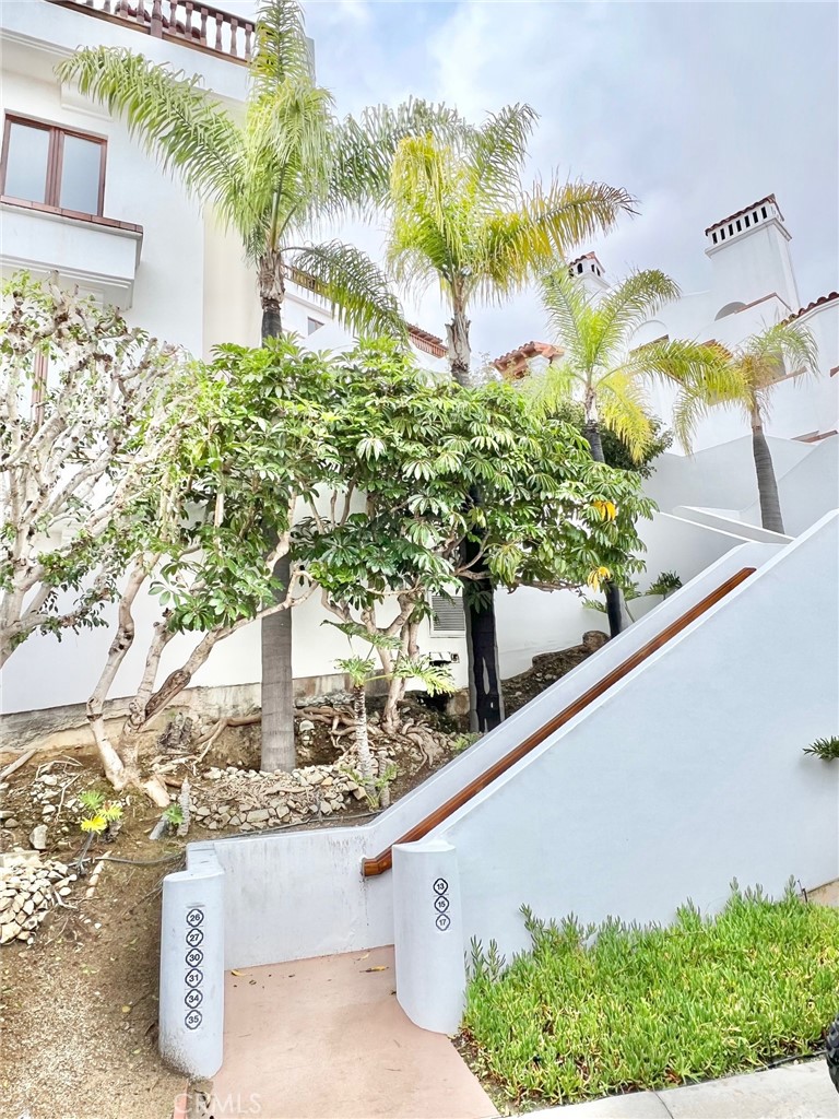 30 Camino De Flores 71