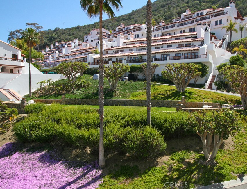 78 Gaviota