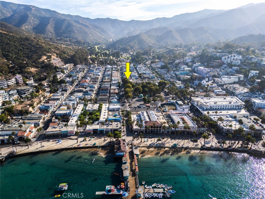 Aerial view of the marked Avalon property, with the waterfront, pier, and surrounding mountains.
