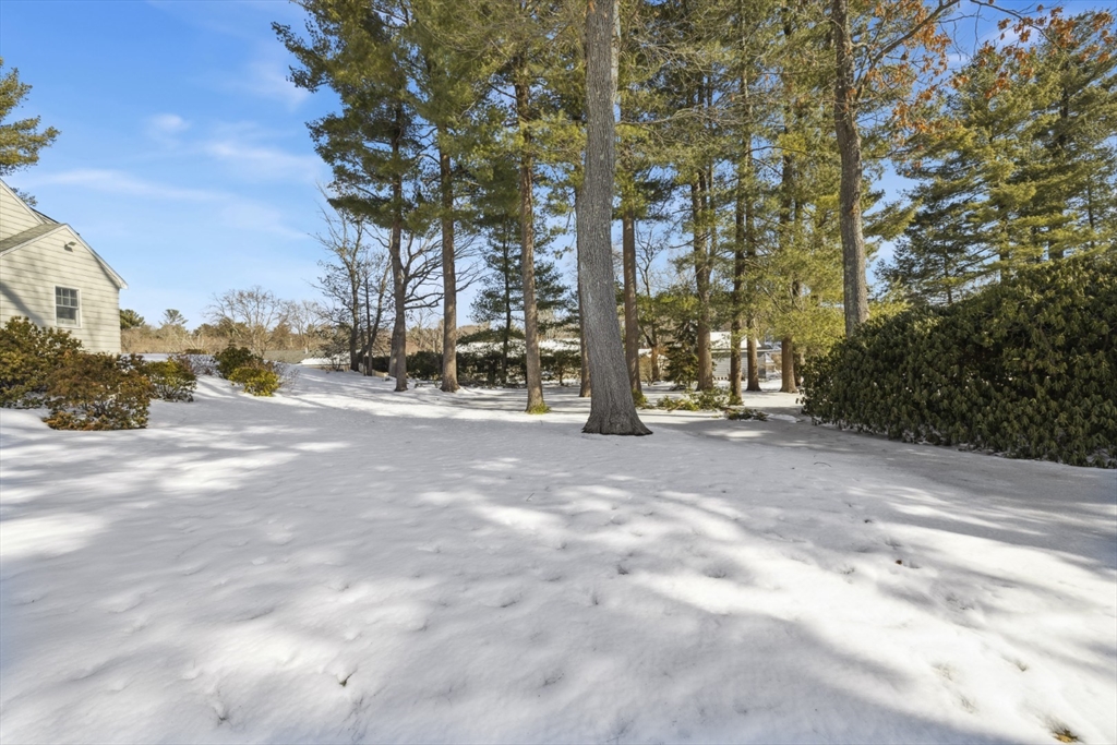 59 Phillips Road