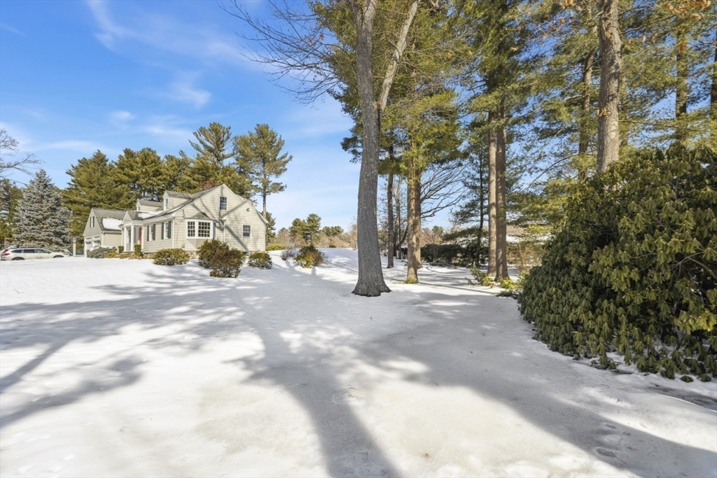 59 Phillips Road