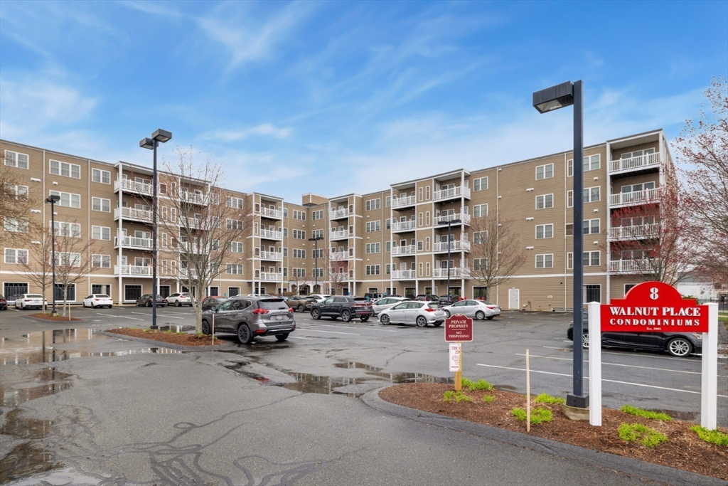 8 Walnut Street # 118