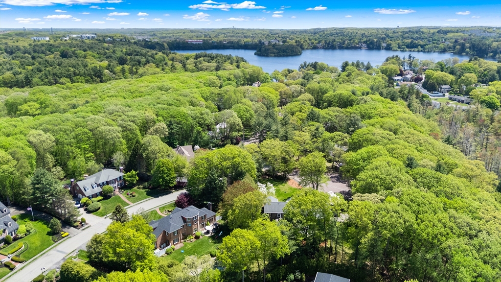 3 Stafford Rd
