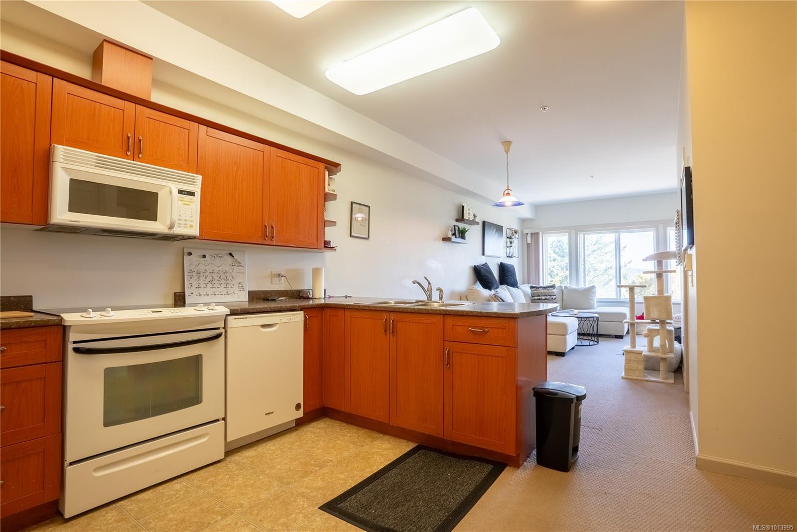 364 Goldstream Ave # 402