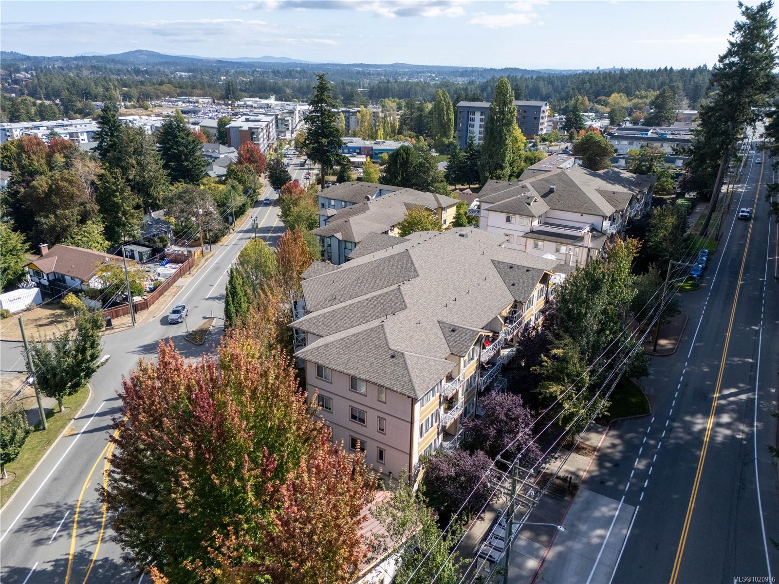 364 Goldstream Ave # 402