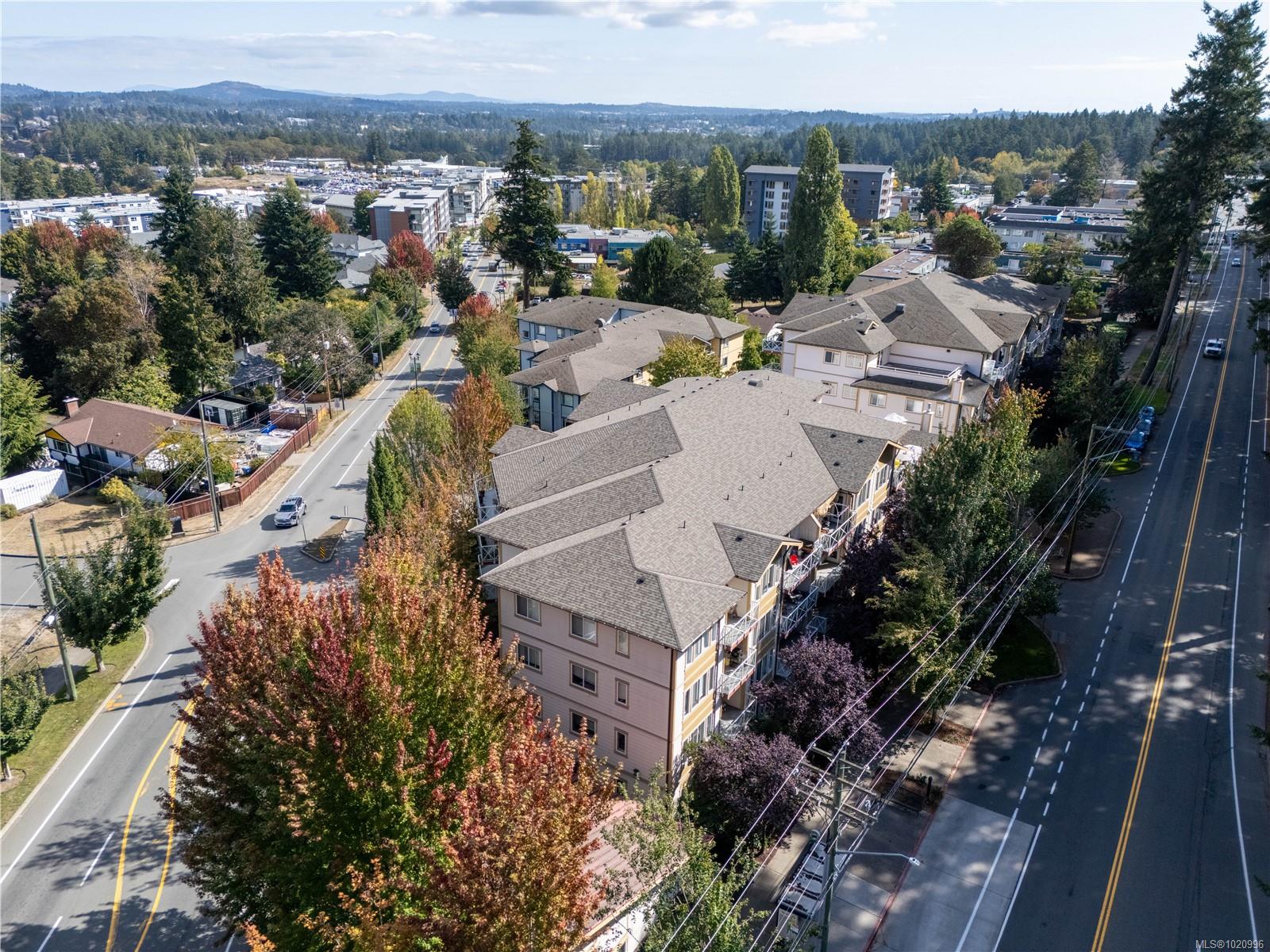 364 Goldstream Ave # 402