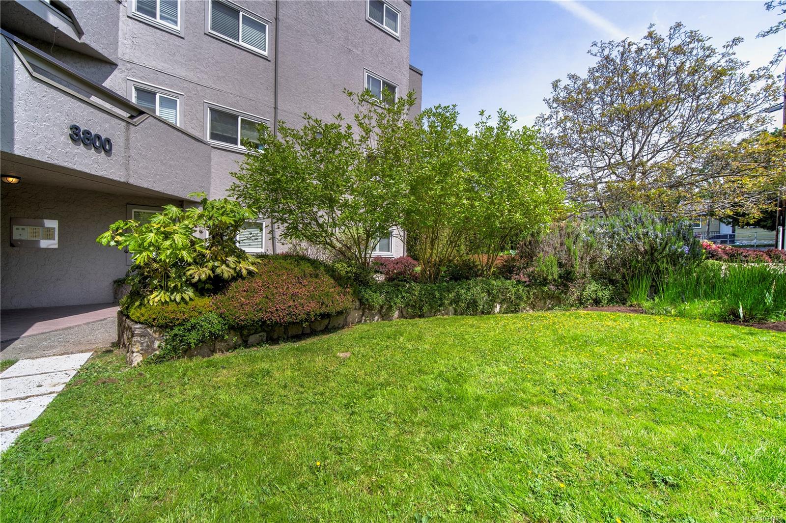 3800 Quadra St # 101