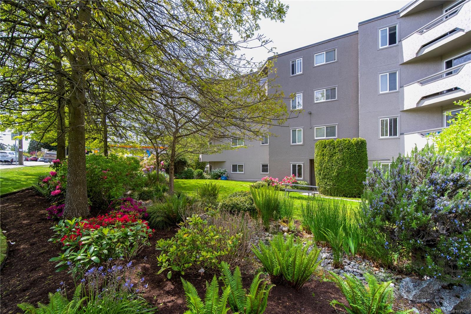 3800 Quadra St # 101