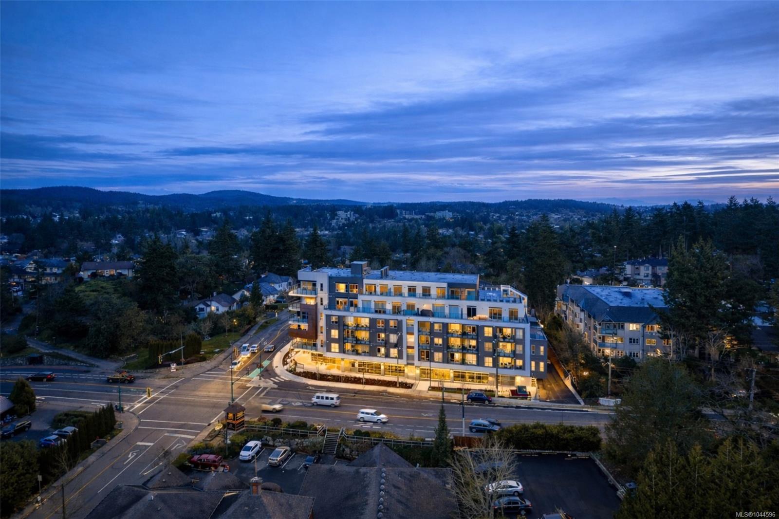 258 Helmcken Rd #212