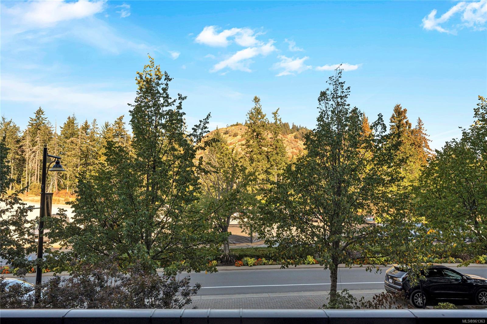 1335 Bear Mountain Pkwy # 217