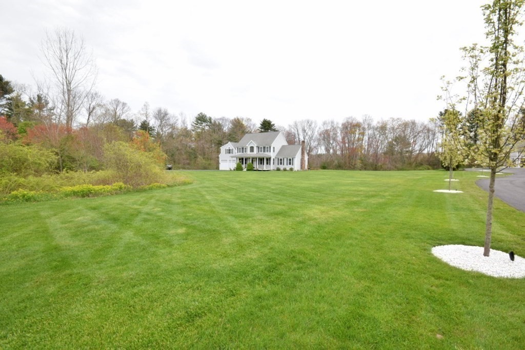 371 Elm St