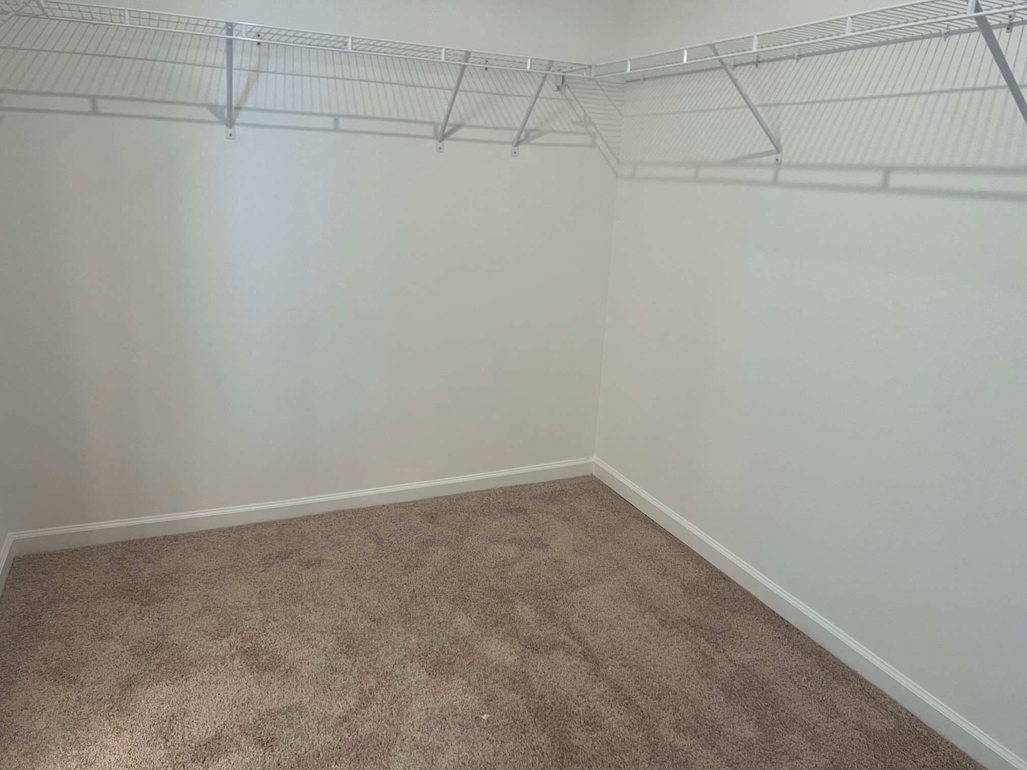 3613 Capstone Drive