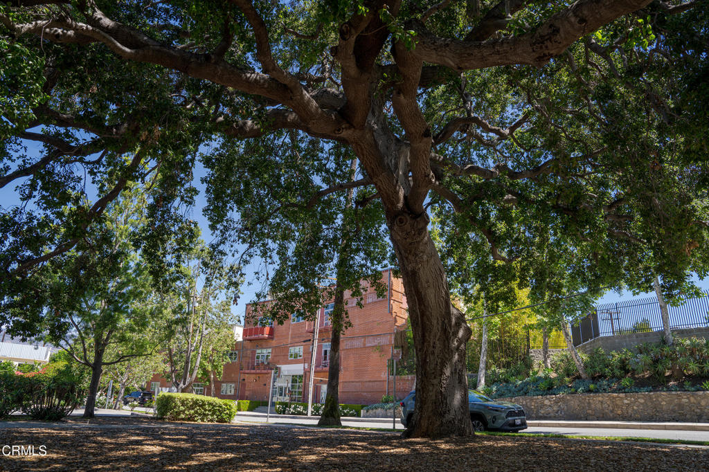 1010 Sycamore Avenue 107