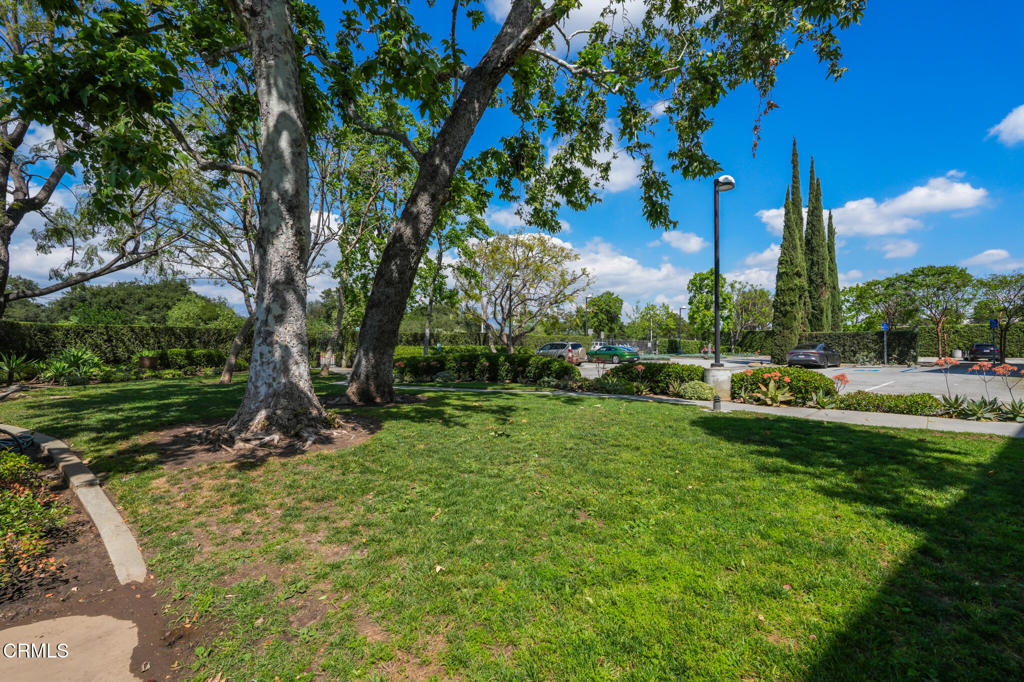 1010 Sycamore Avenue 107
