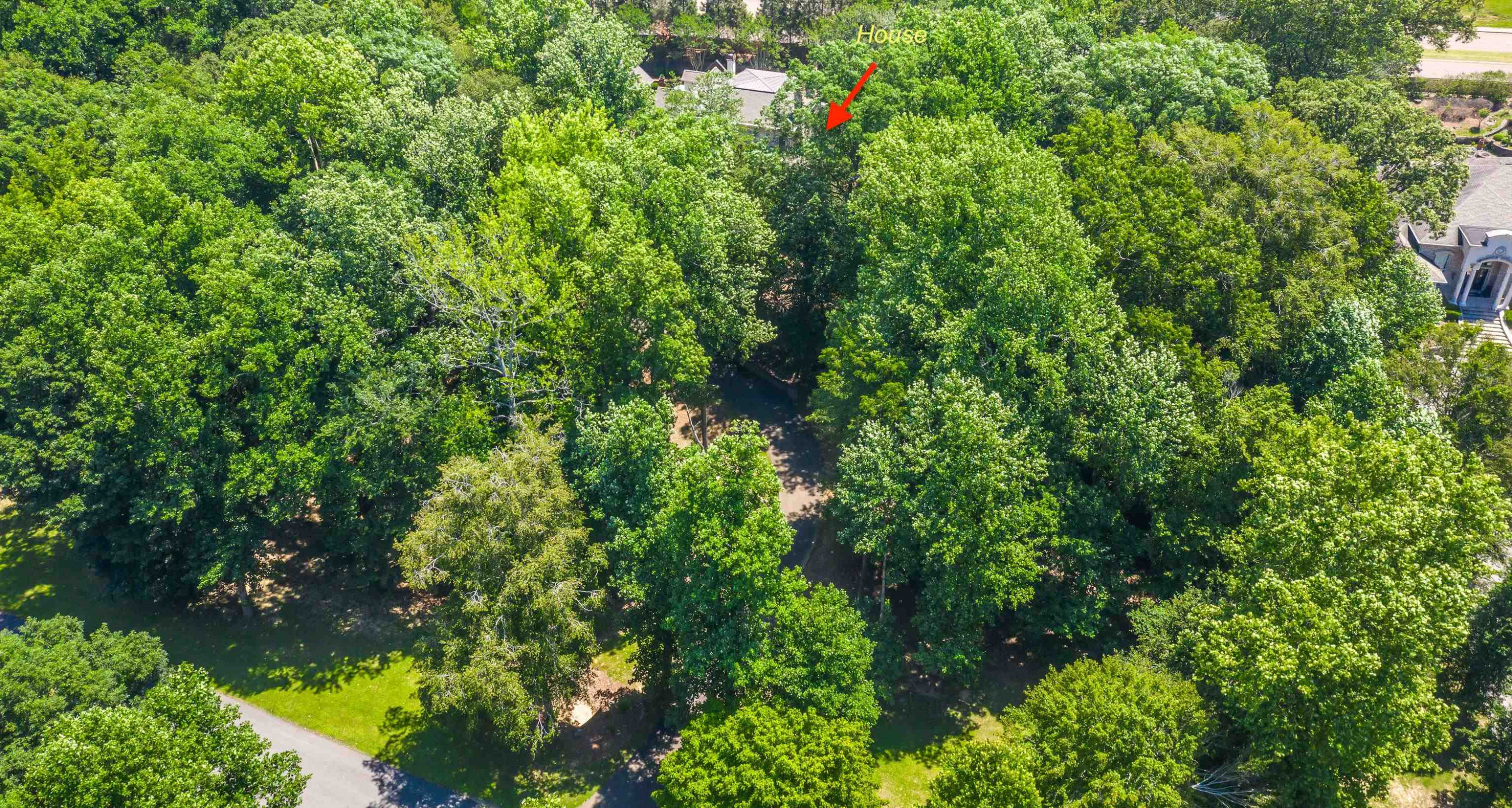 118 Bridlepath Dr