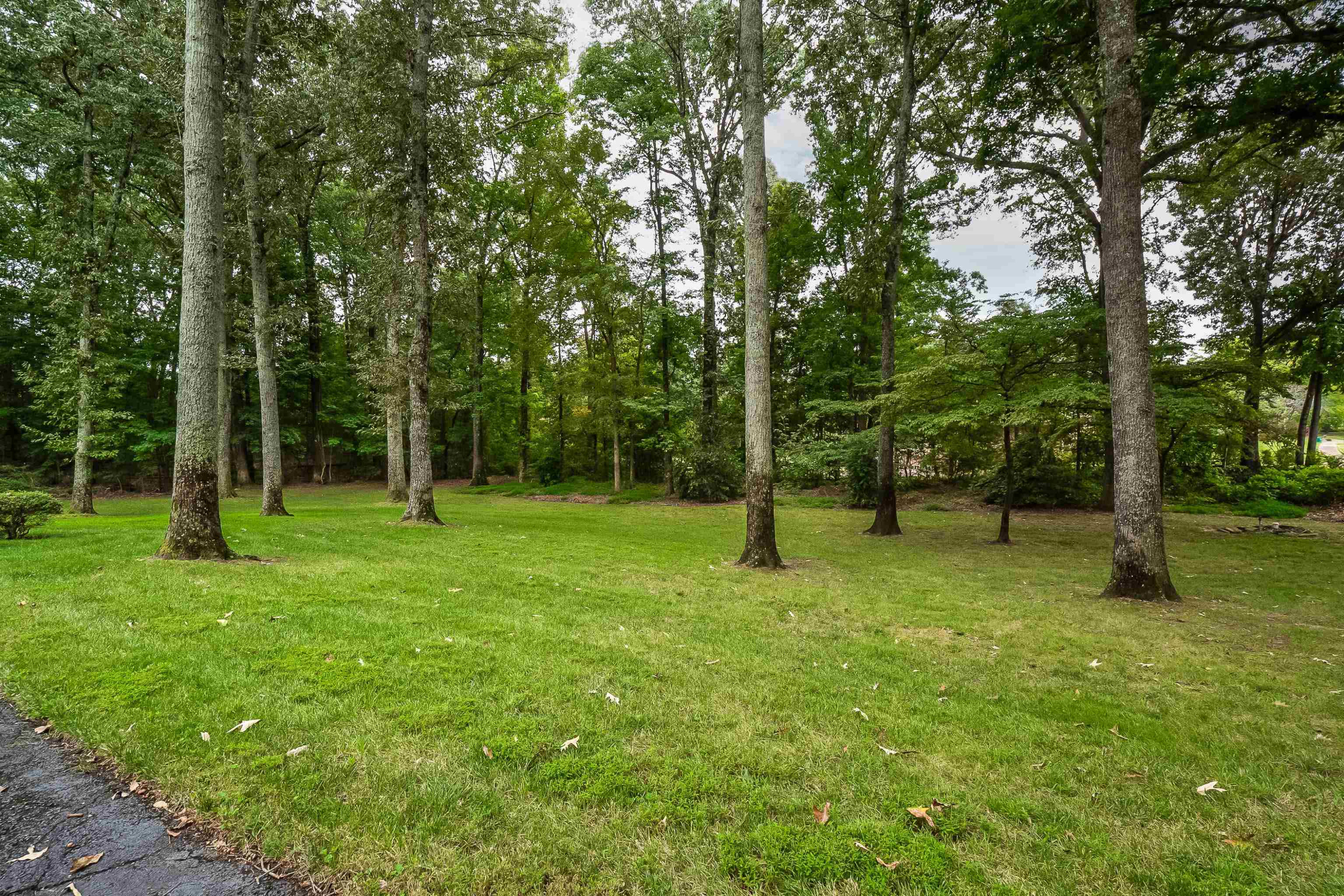 8 Whitfield Cove