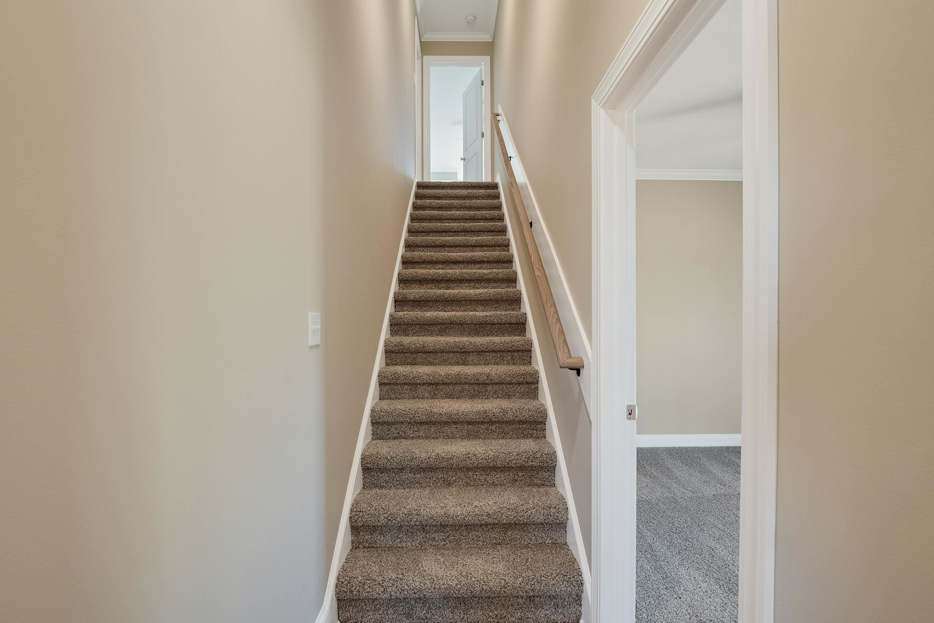 115 Isaiah Drive