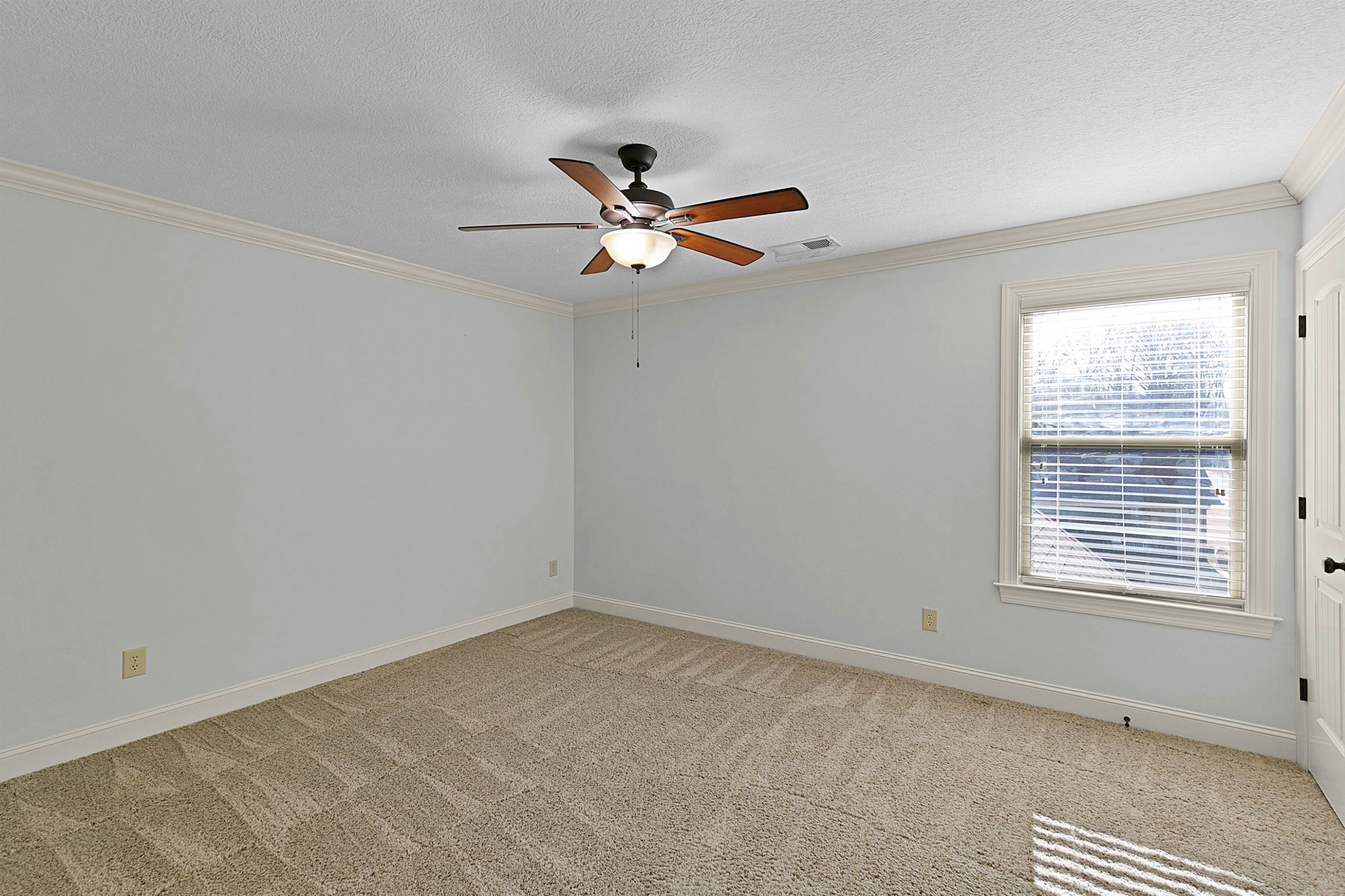 84 Broadmeadow Drive