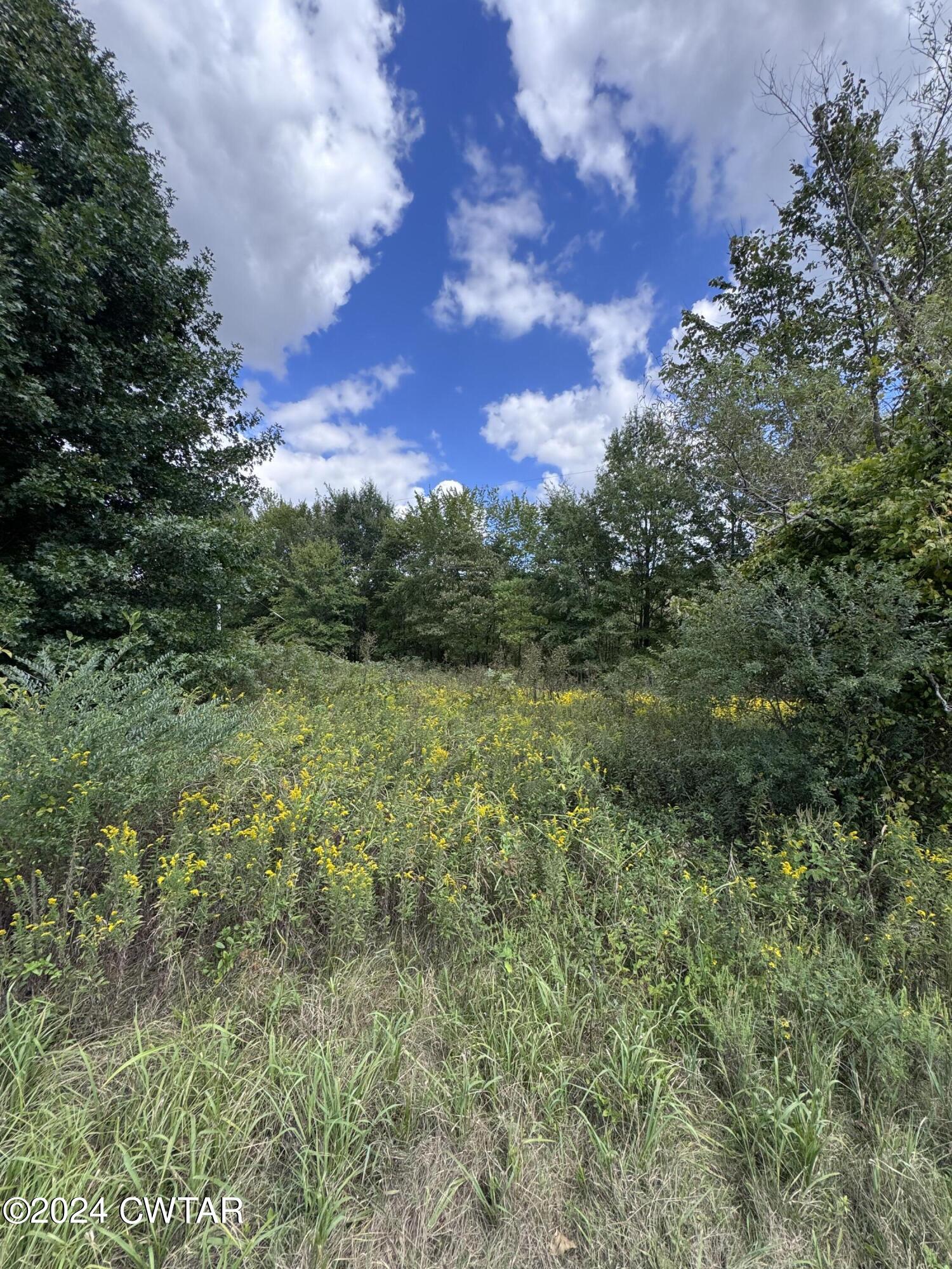 888 Charlie Lewis Road