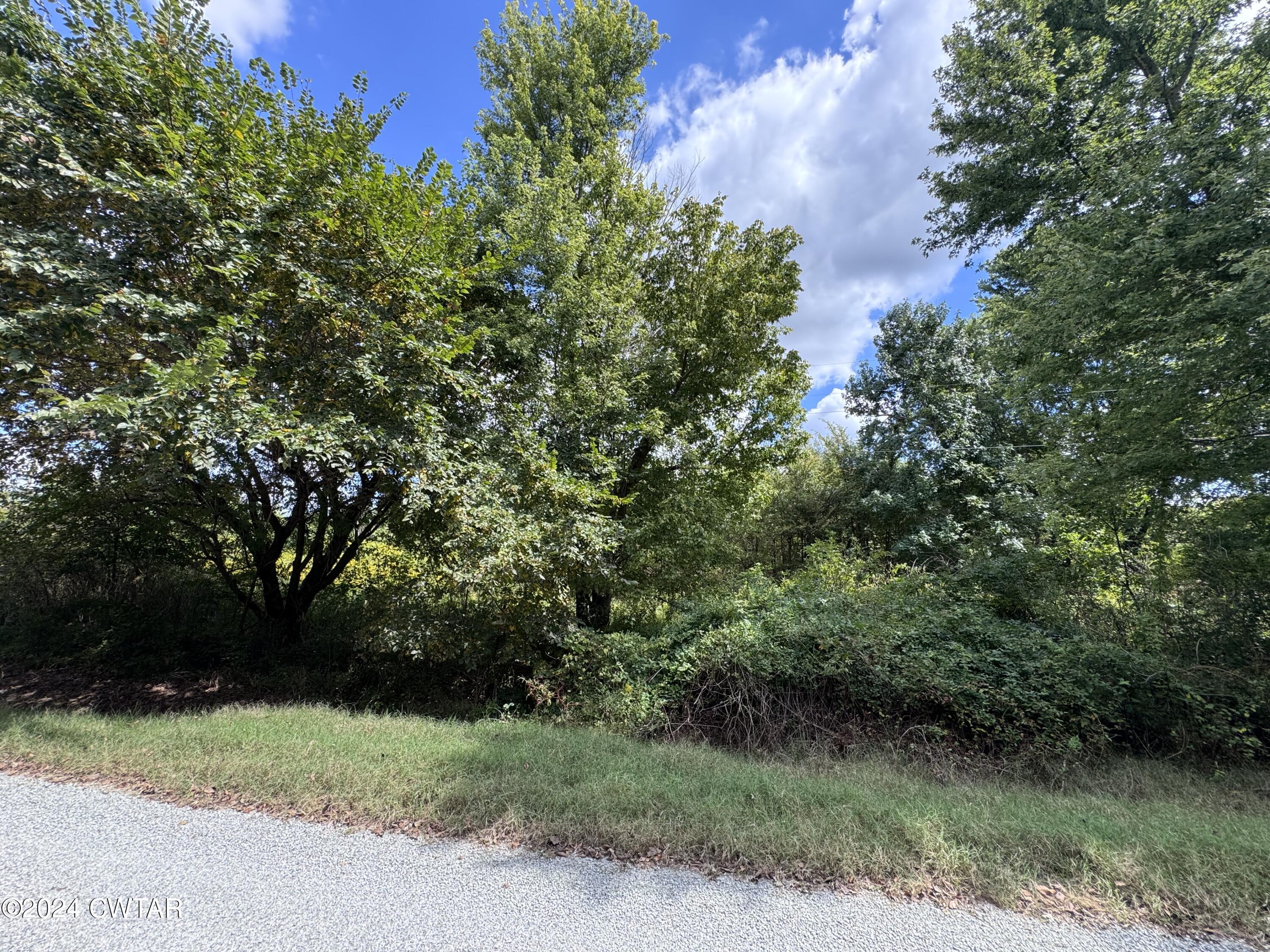 444 Charlie Lewis Road