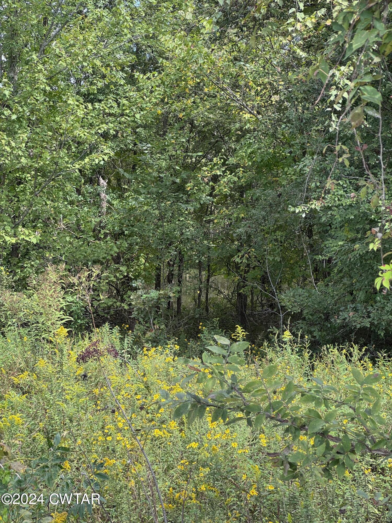 333 Charlie Lewis Road