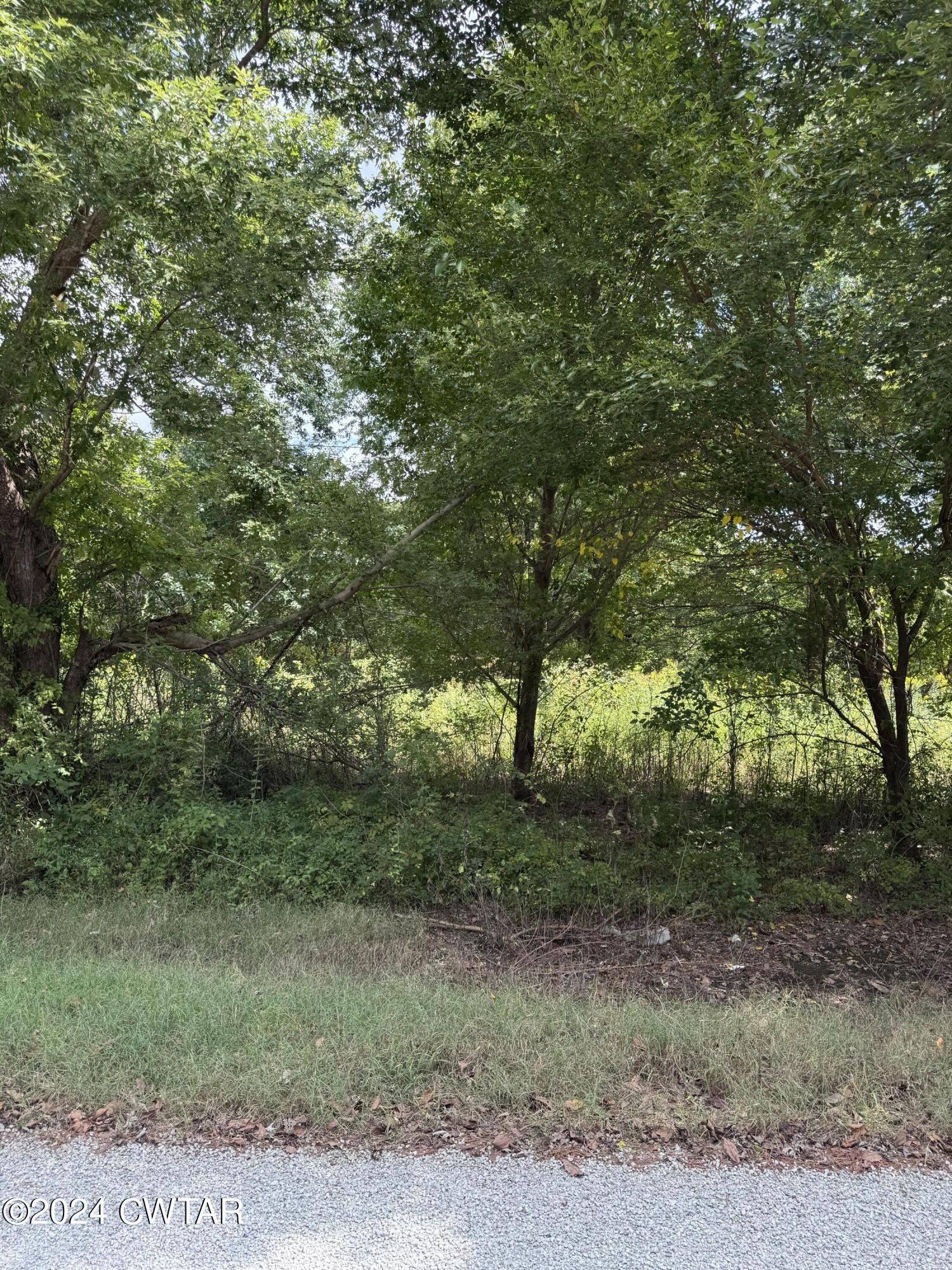 333 Charlie Lewis Road