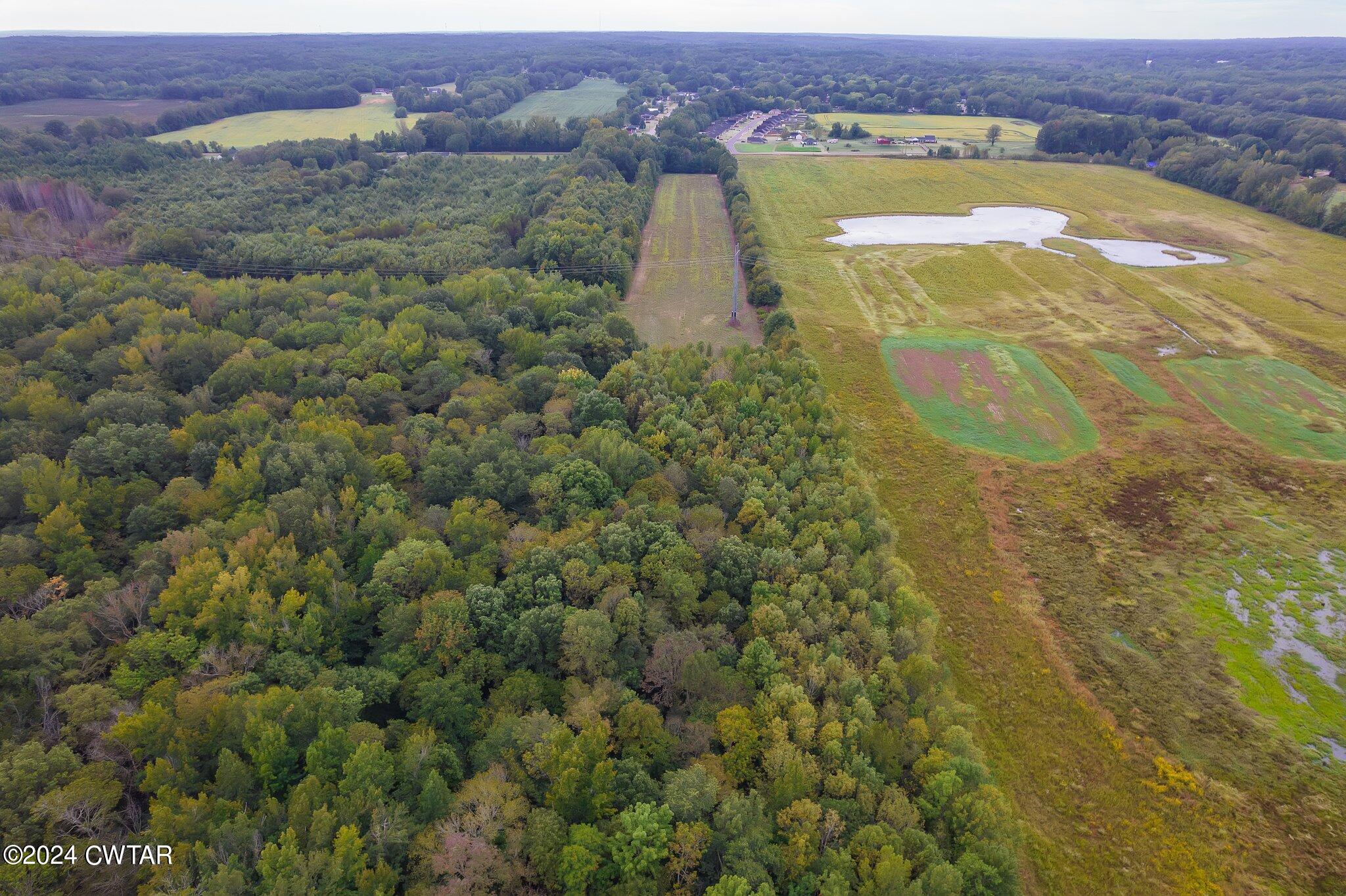 491 Perry Switch Road
