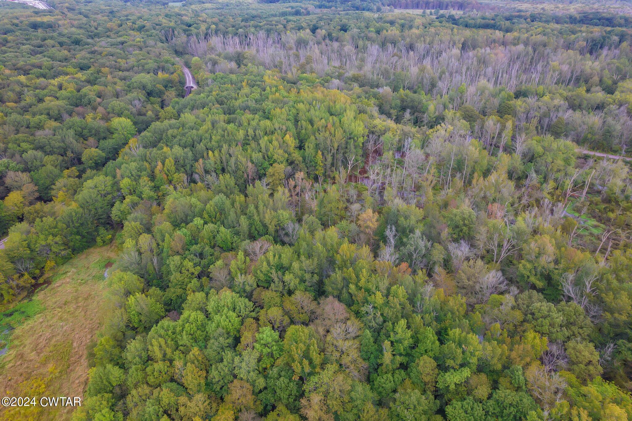 491 Perry Switch Road