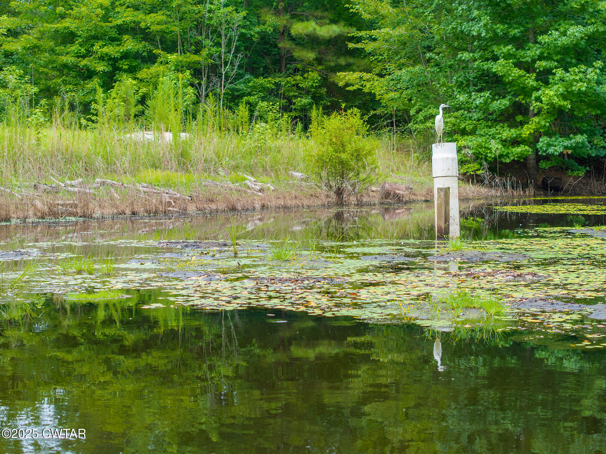 255 Jason Hollow Road