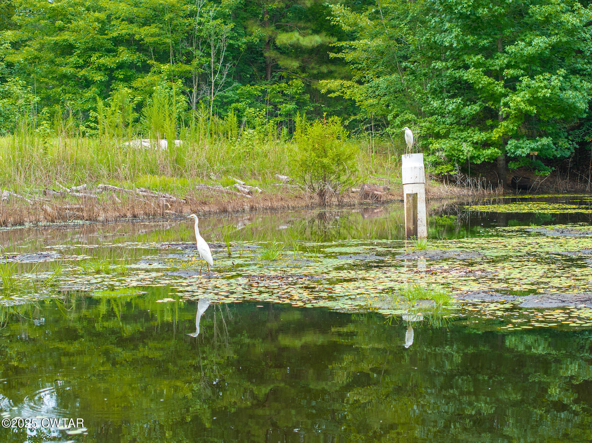 255 Jason Hollow Road