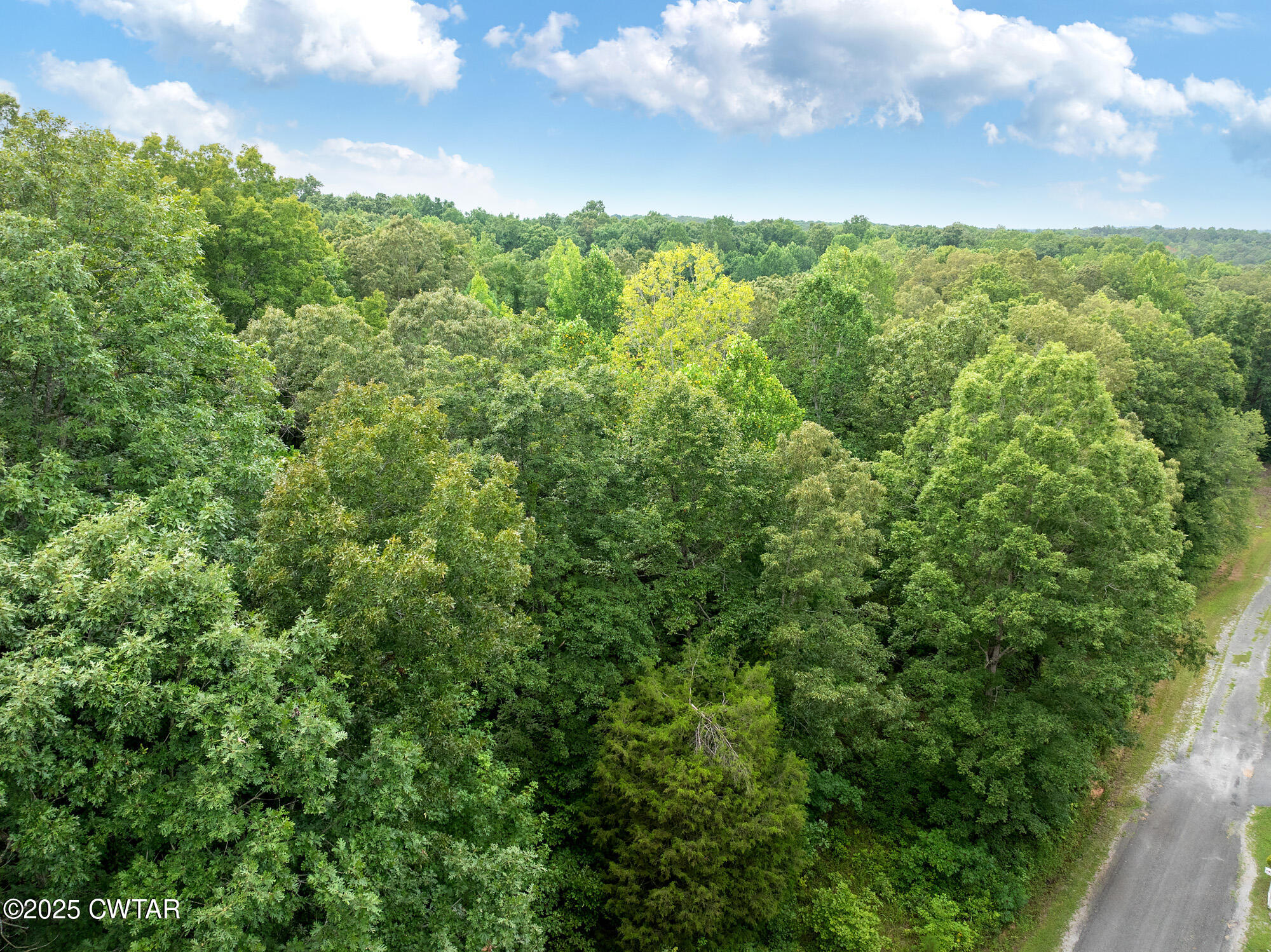 163 Jason Hollow Road