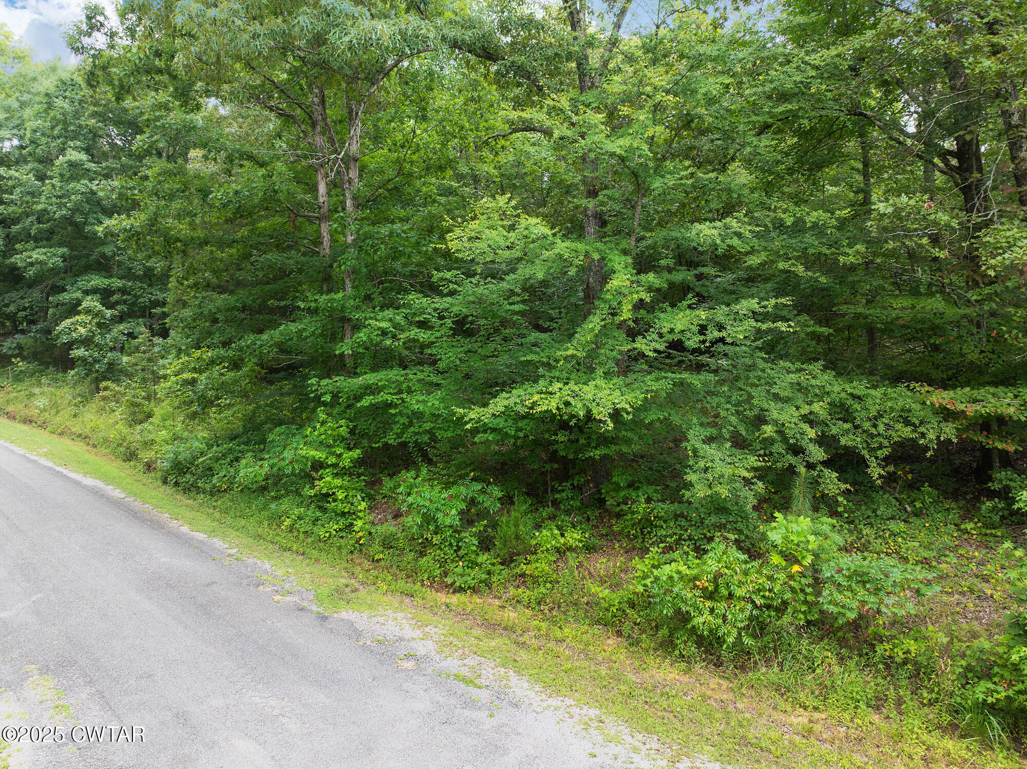 163 Jason Hollow Road