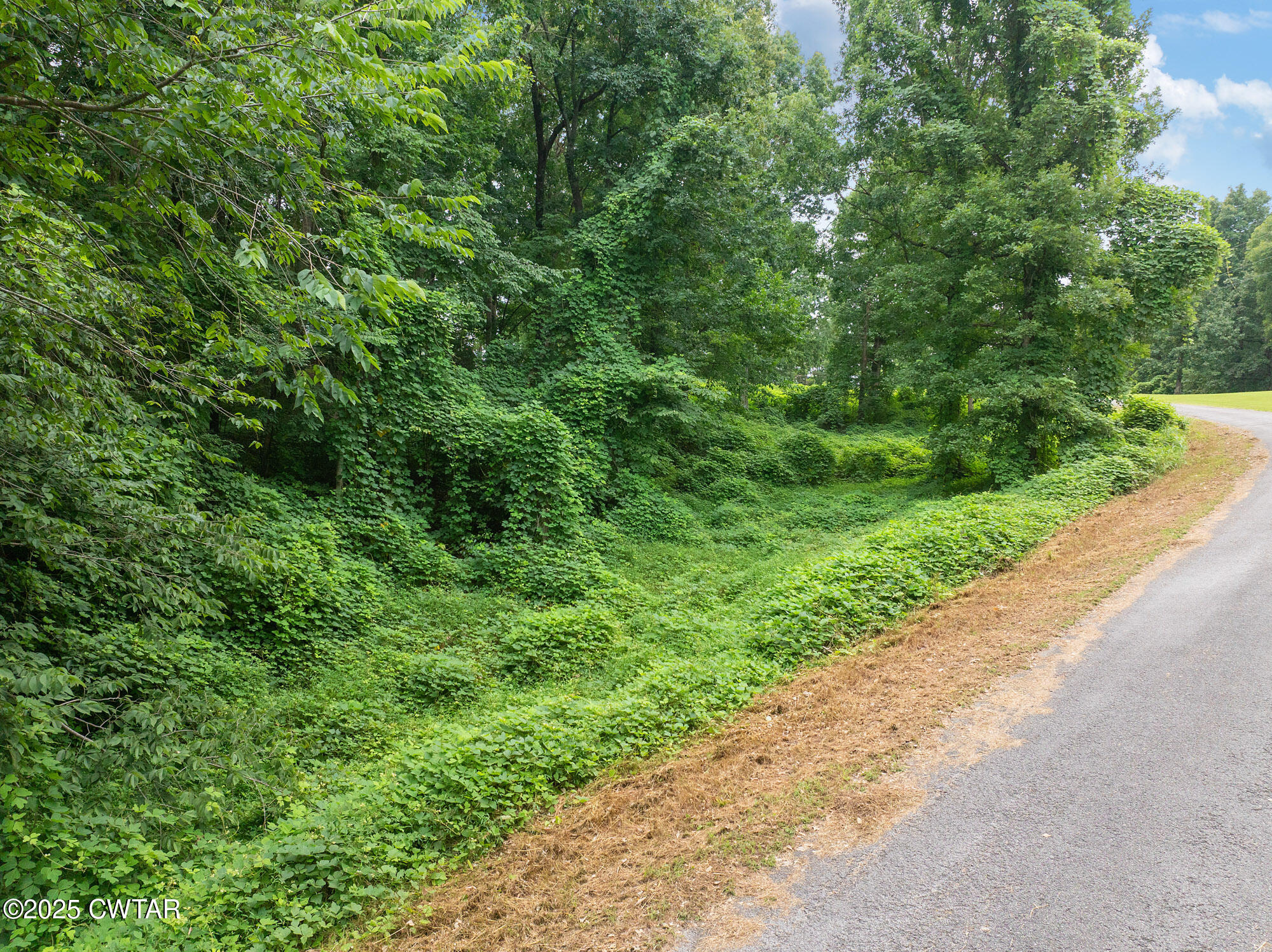 Lot 5 Jason Hollow Road