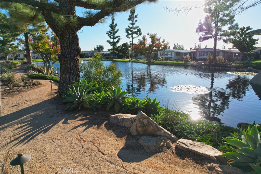 16942 Lake Terrace Way 1