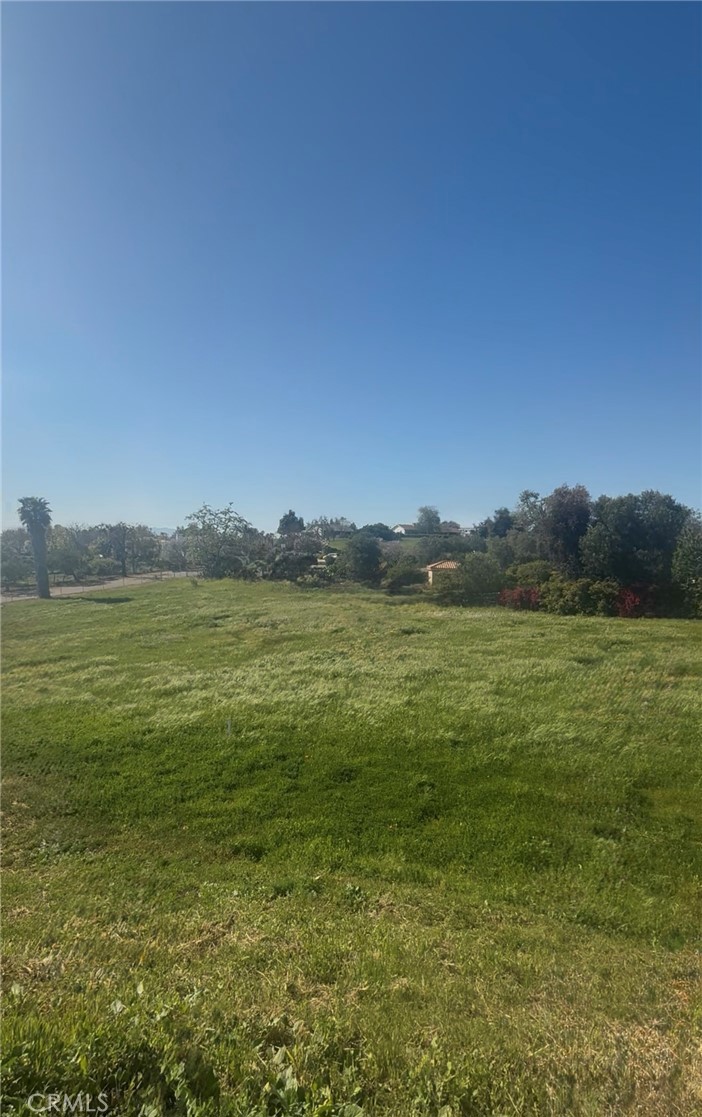 1916 Gray Rabbit Hollow Lane