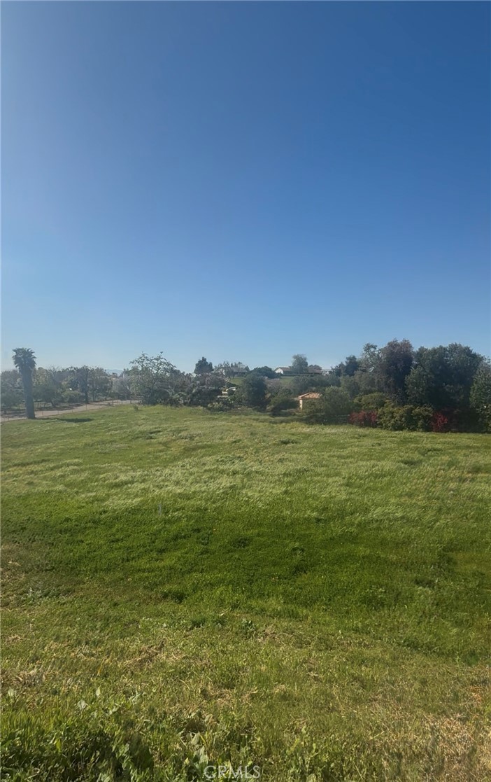 1916 Gray Rabbit Hollow Lane