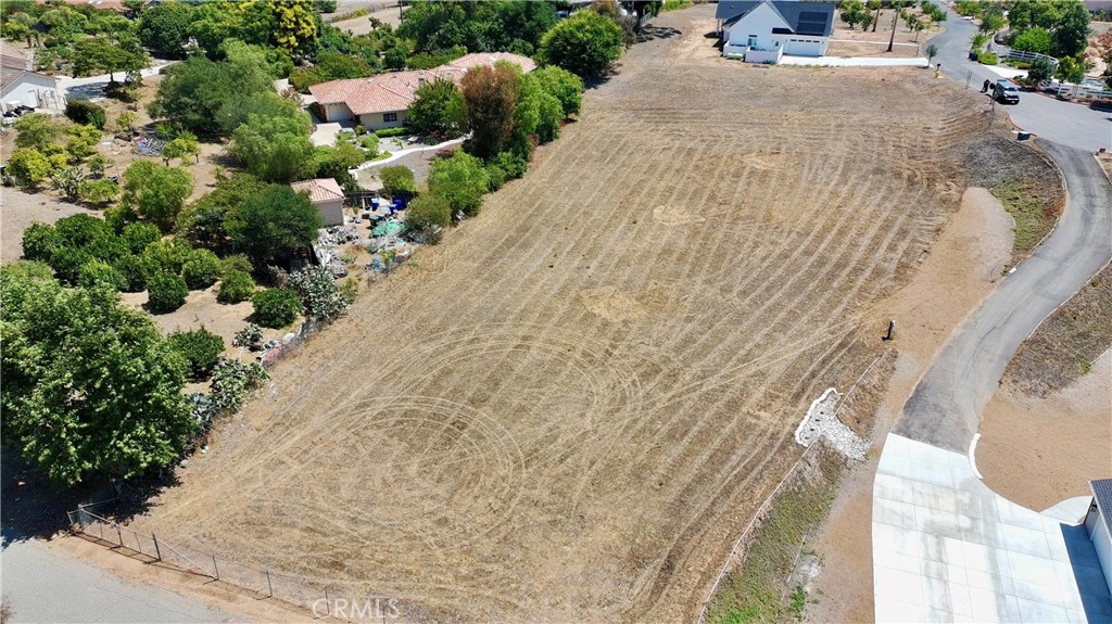 1916 Gray Rabbit Hollow