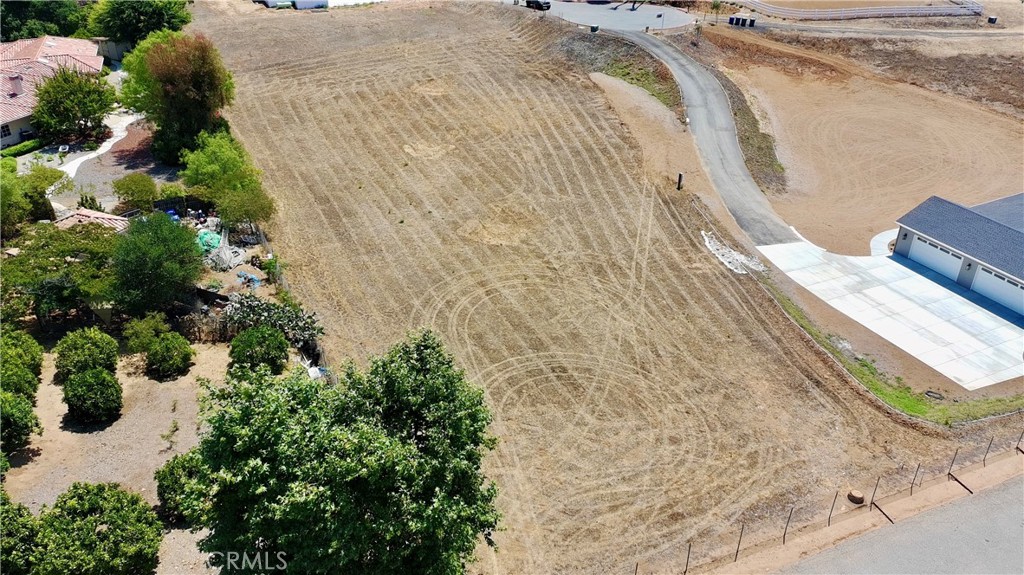 1916 Gray Rabbit Hollow