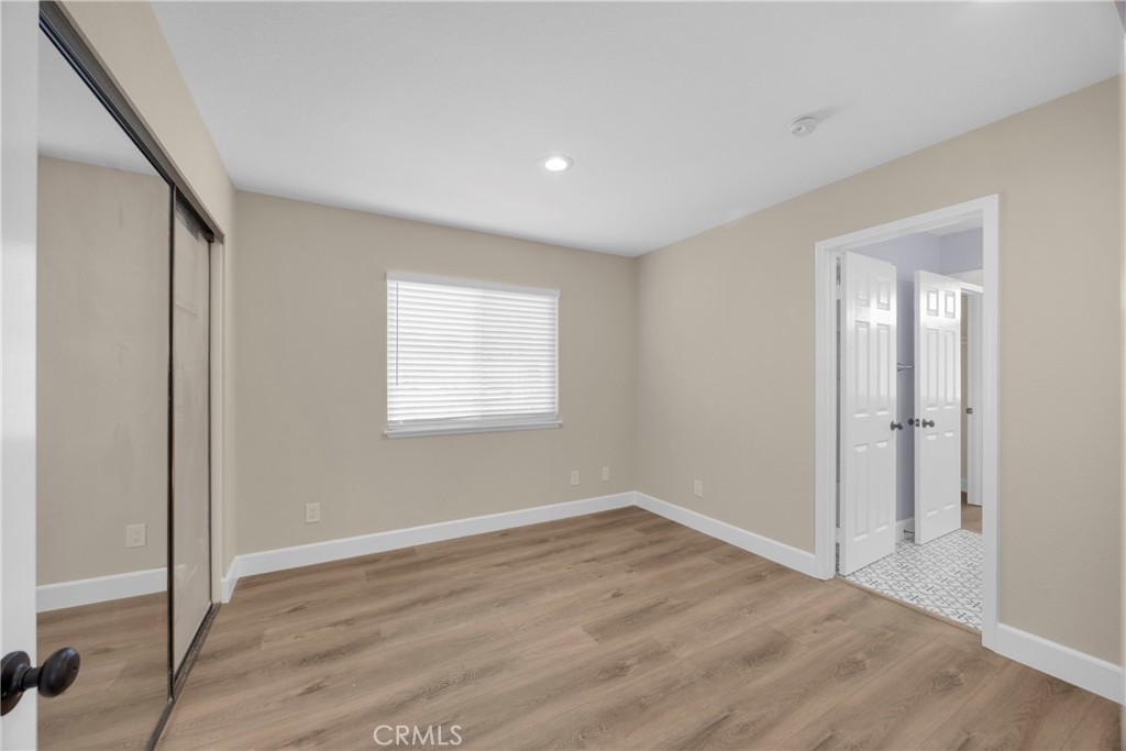 5700 Scotch Pine