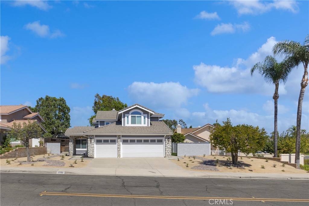 5700 Scotch Pine