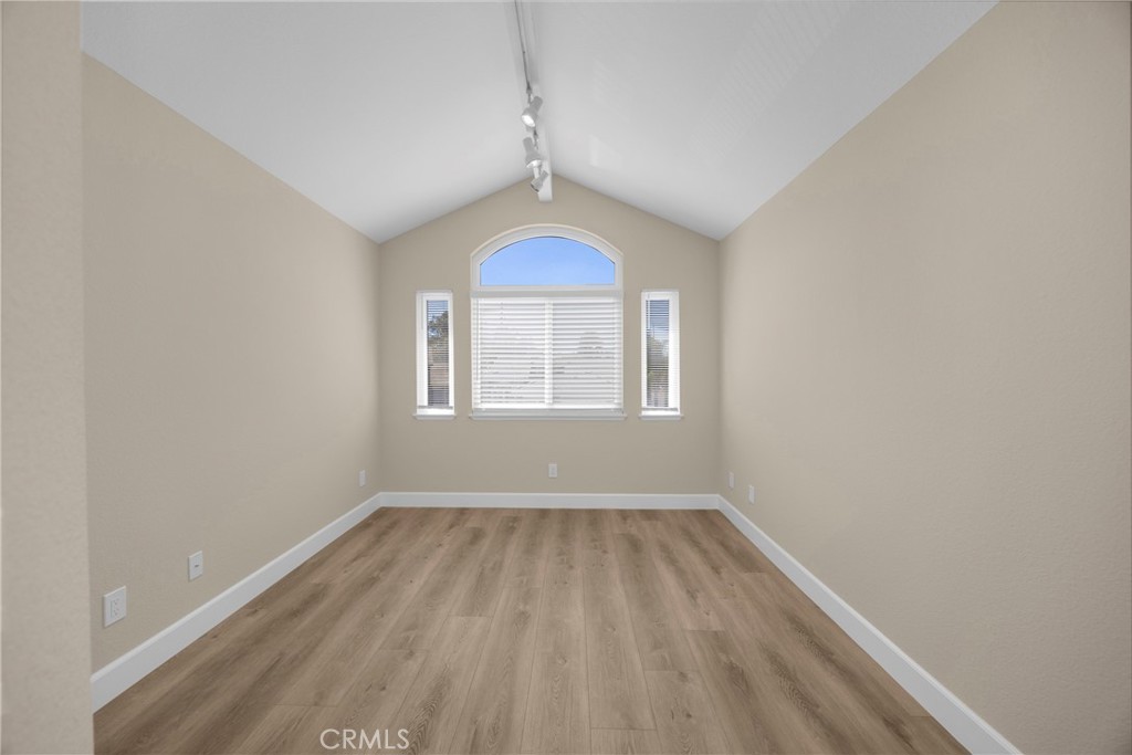 5700 Scotch Pine