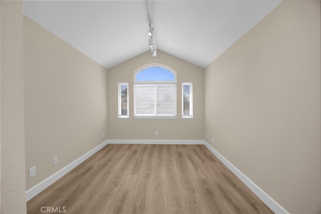 5700 Scotch Pine