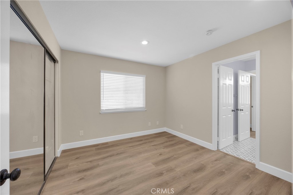 5700 Scotch Pine